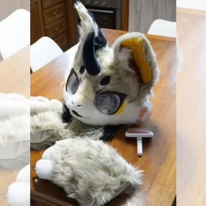 Fursuit