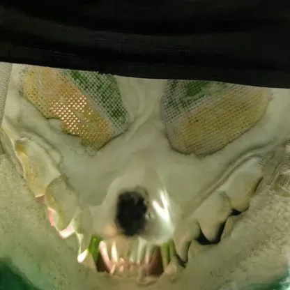 Fursuit