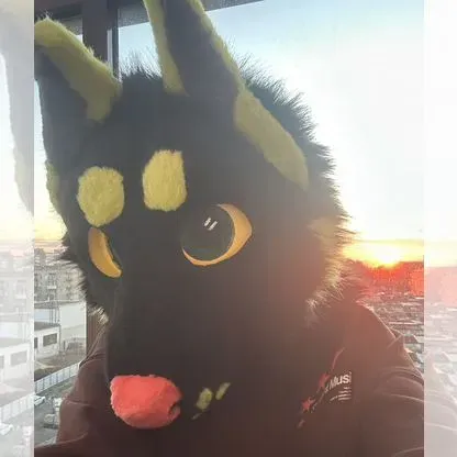 Fursuit