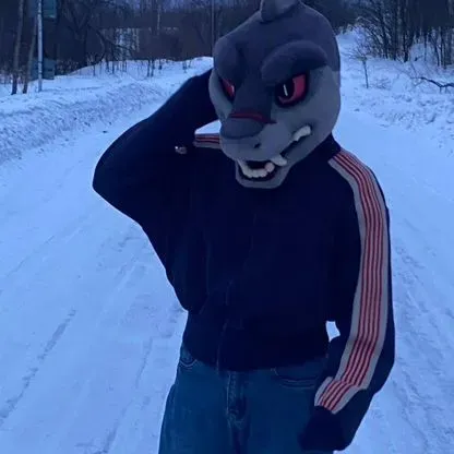 Fursuit