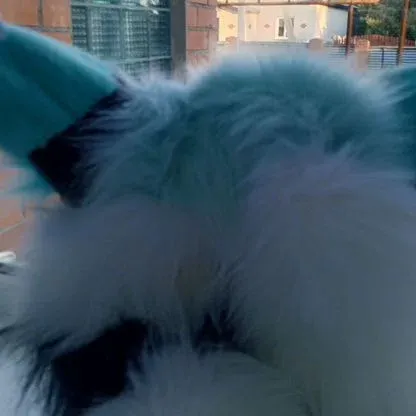 Fursuit