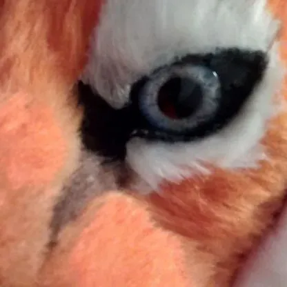Fursuit