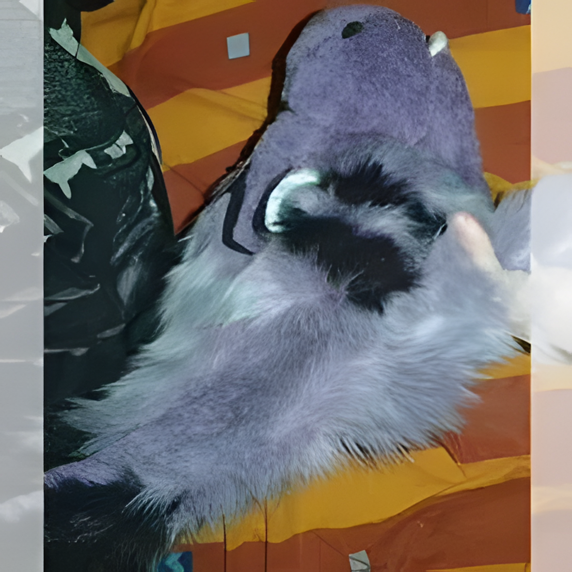 Fursuit Angel Dragon