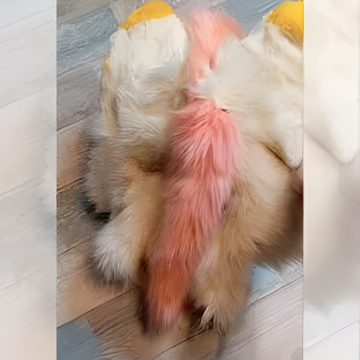 Fursuit based on 3D, furry