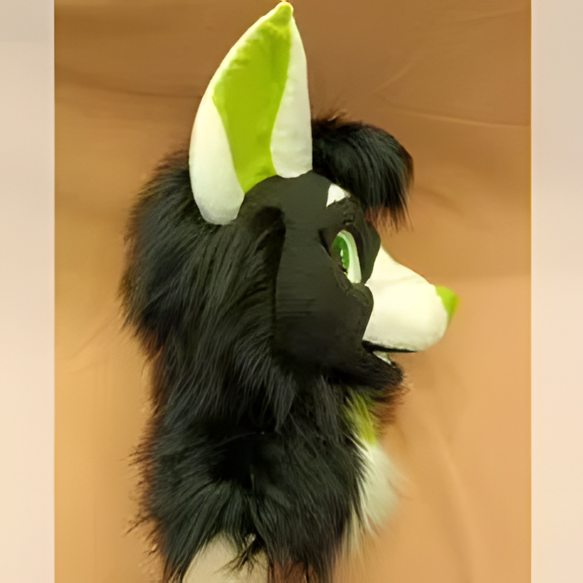 Fursuit cat