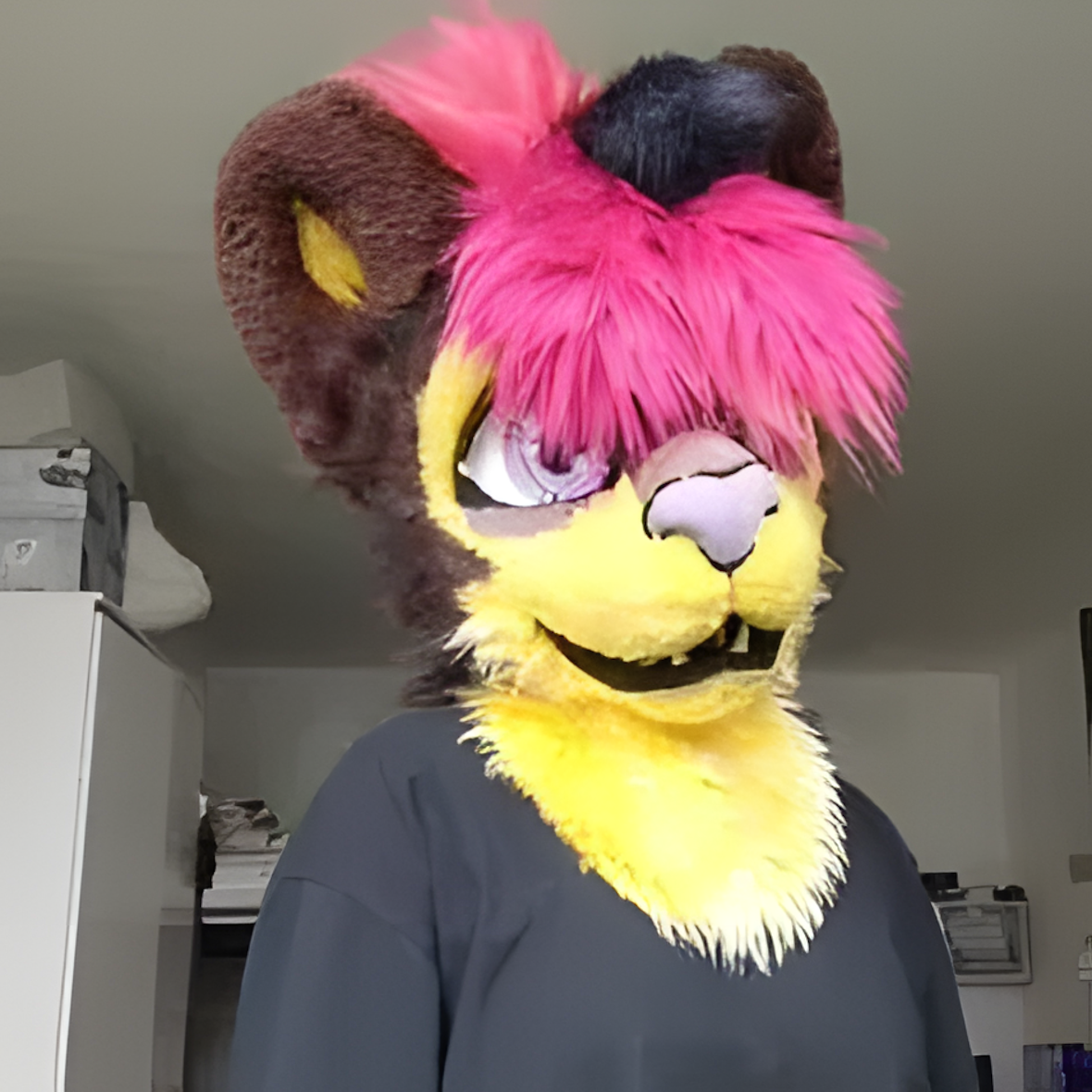 Fursuit cat (2)