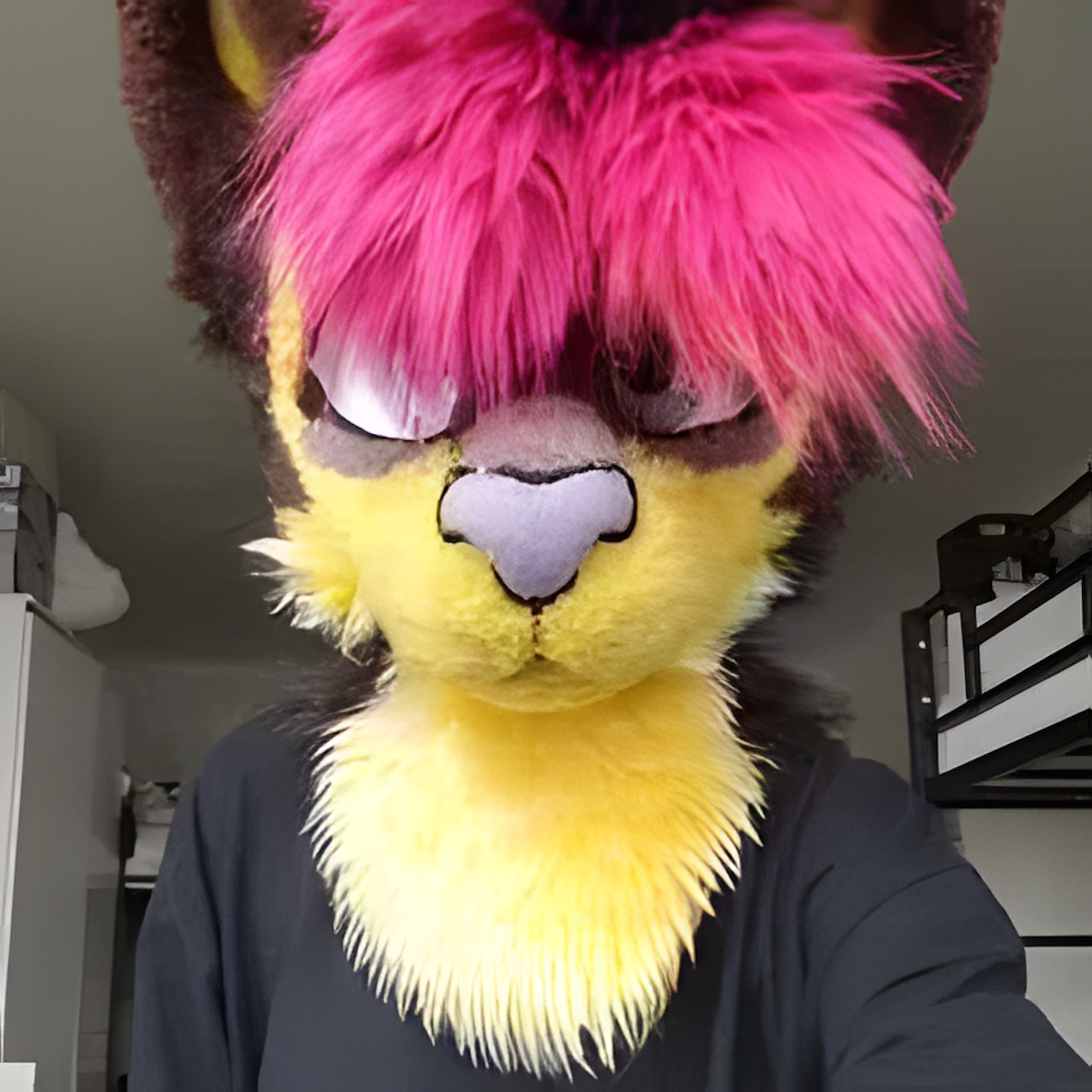 Fursuit cat (2)