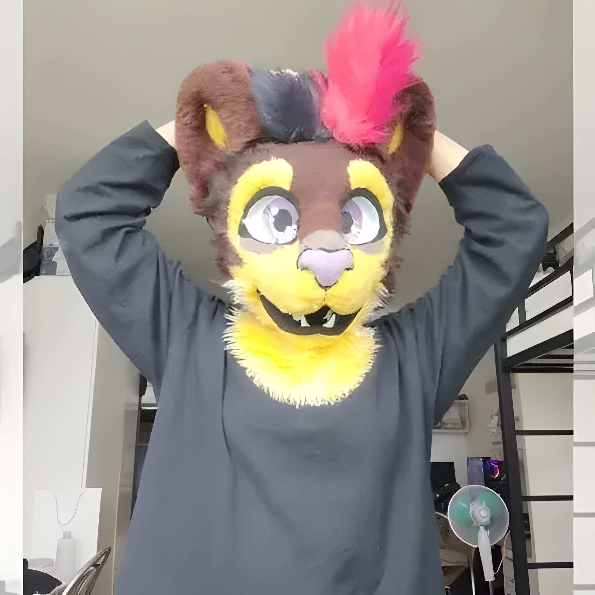 Fursuit cat (2)