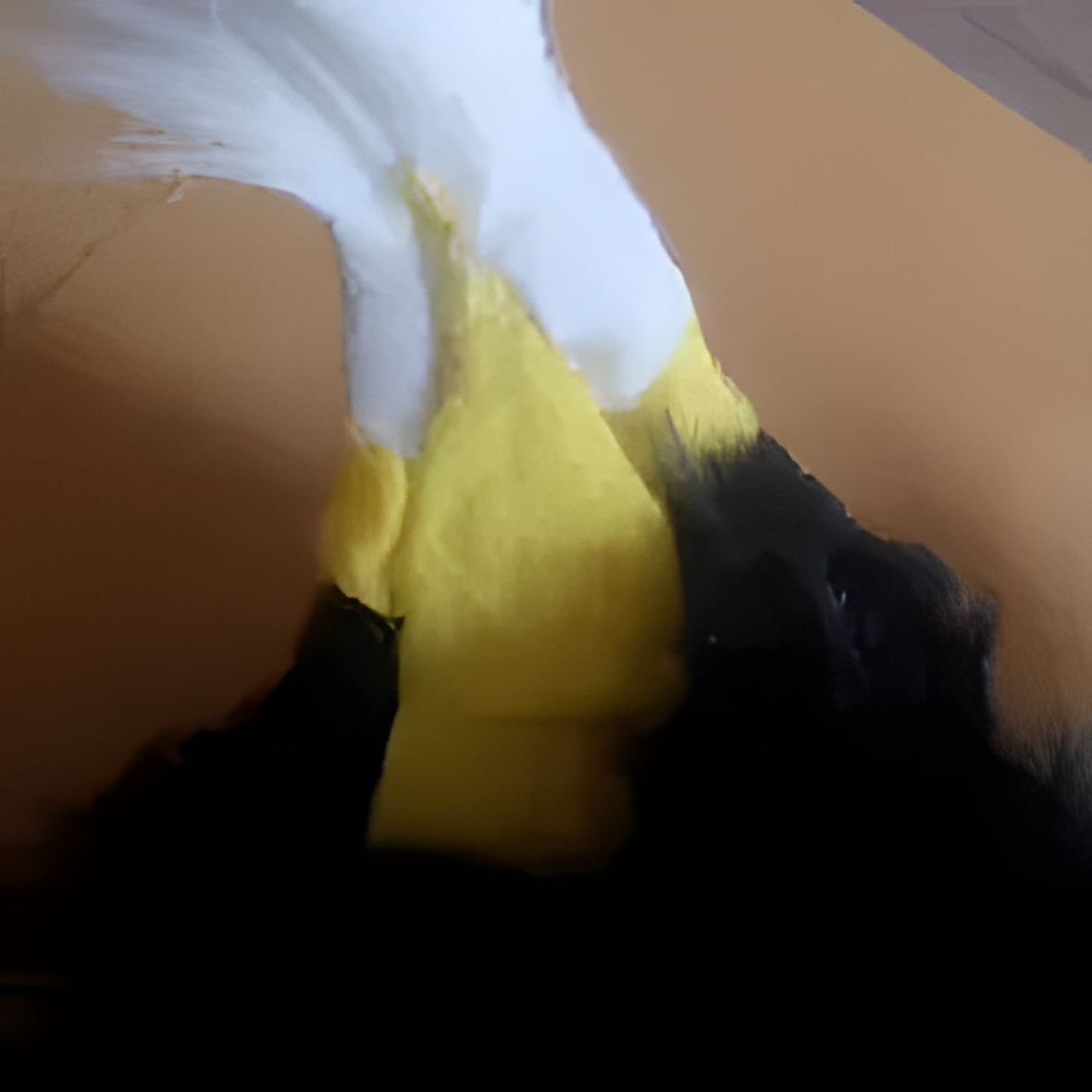 Fursuit cats_skull cat