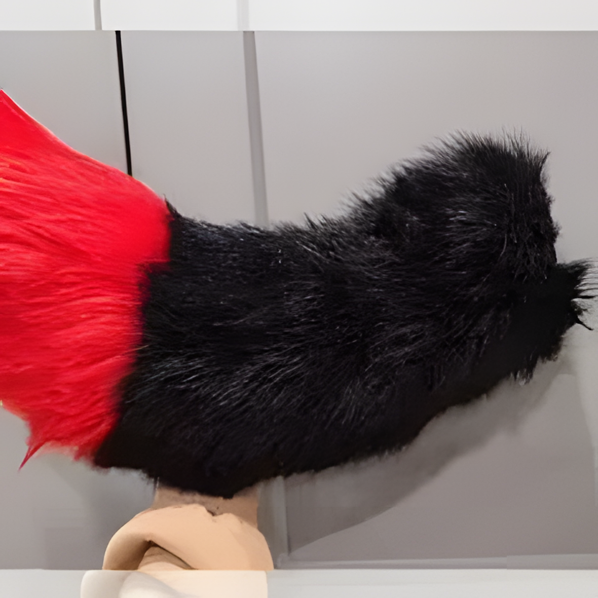 Fursuit dog furry