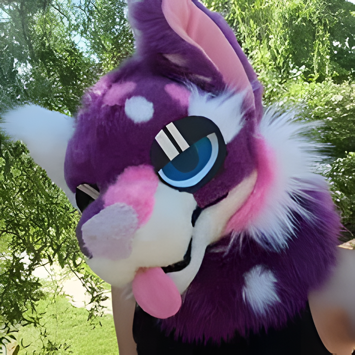 Fursuit exchange_sale (2)