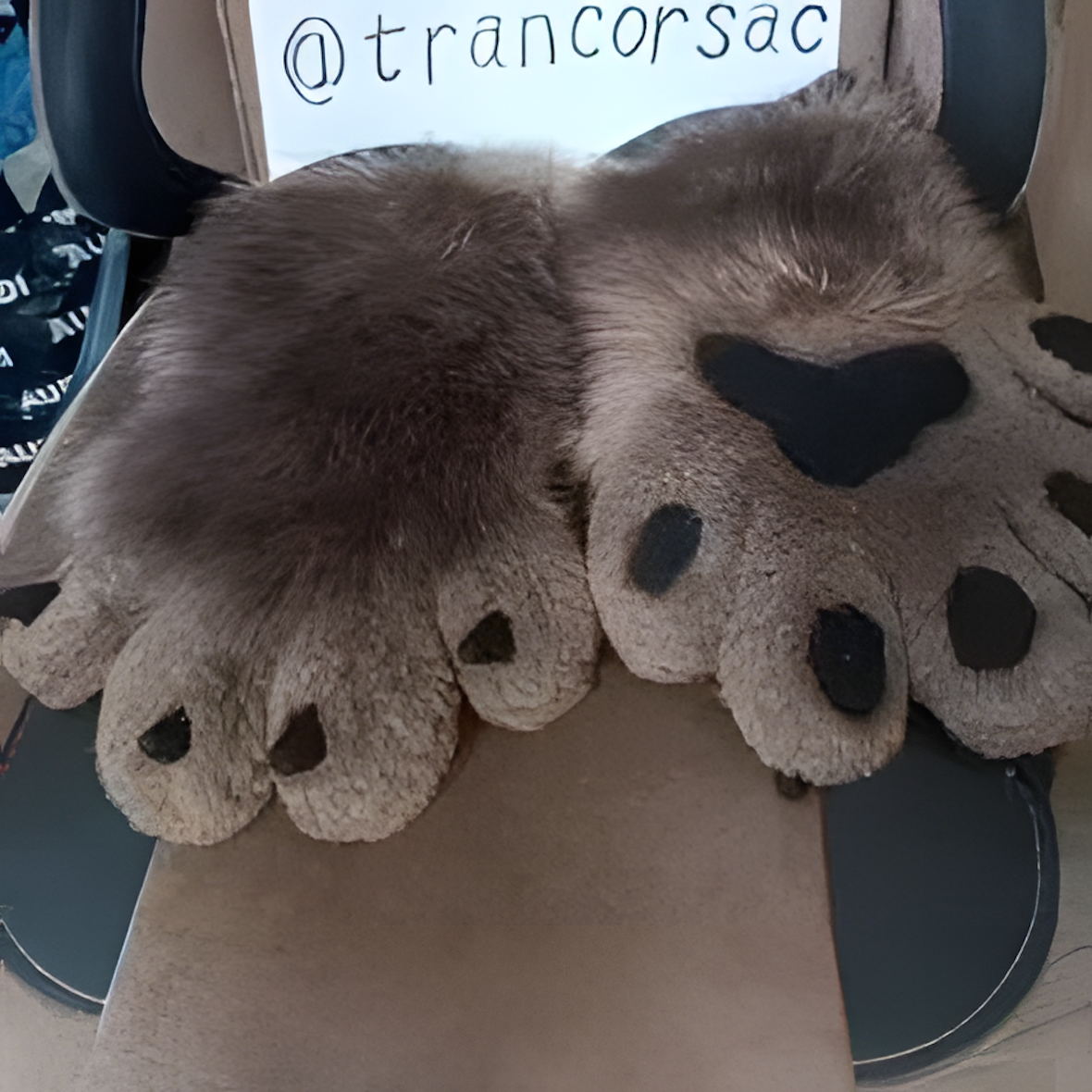 Fursuit fox