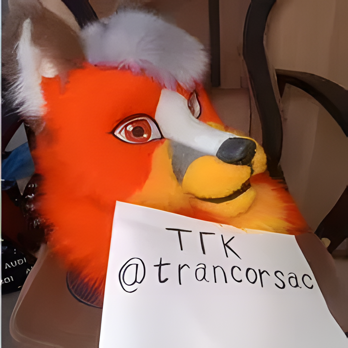Fursuit fox