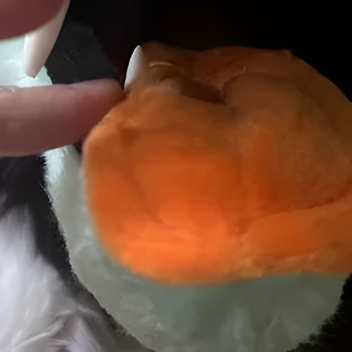 Fursuit furry dog ​​mask