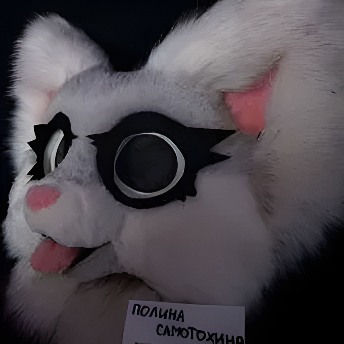 Fursuit head cat + tail