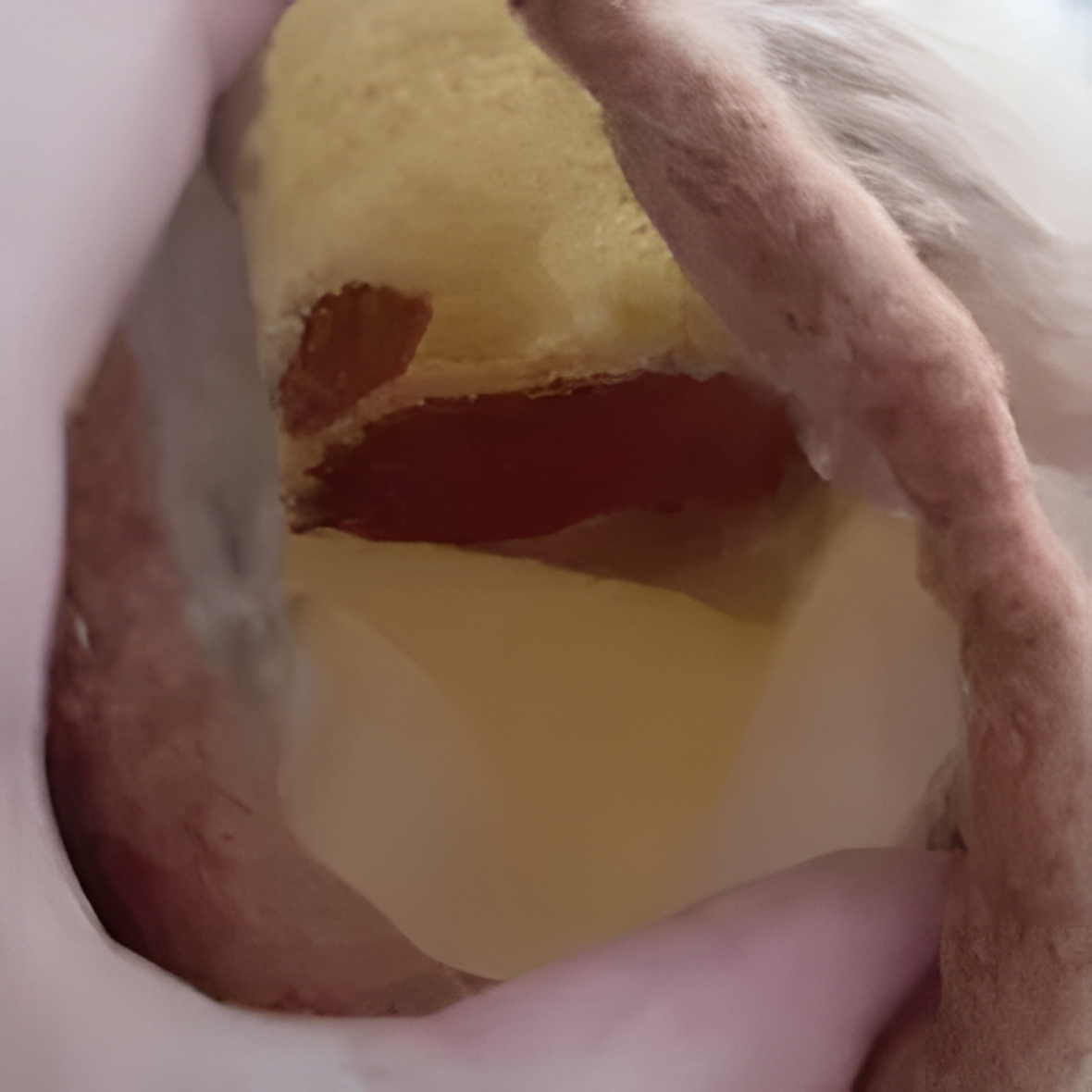 Fursuit lioness realistic