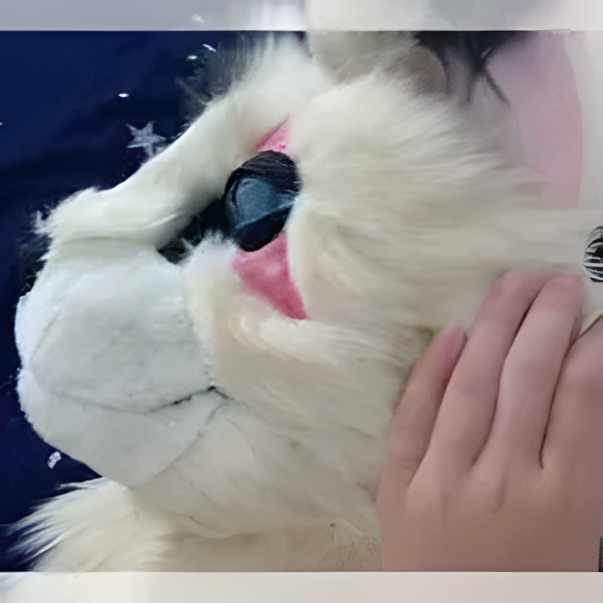 Fursuit lioness realistic