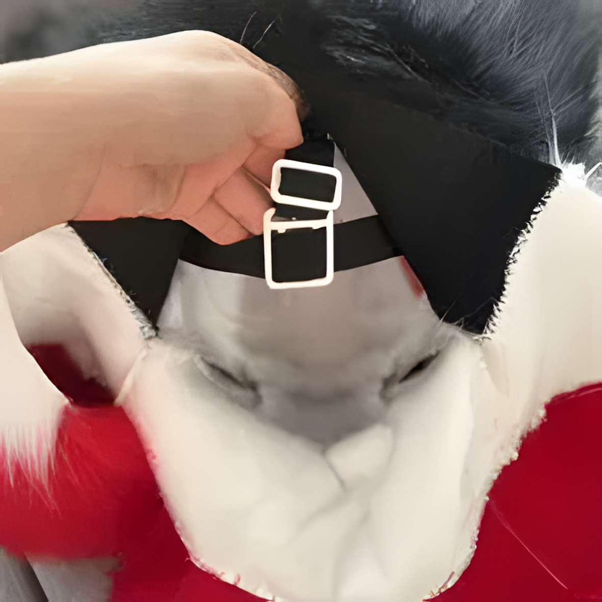 Fursuit mask (2)