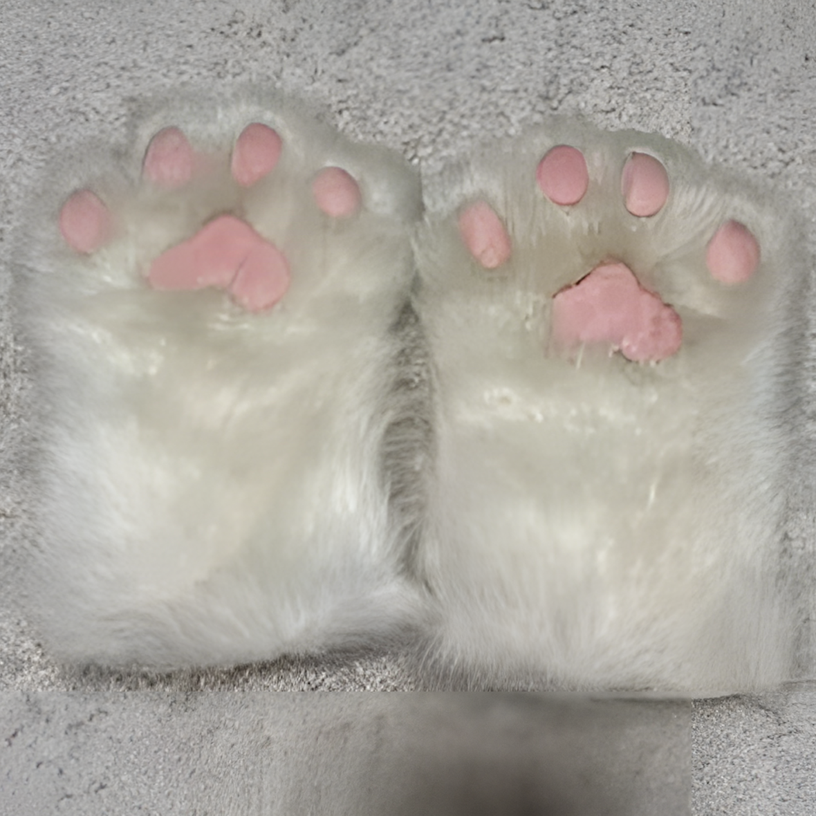 Fursuit mask (3)