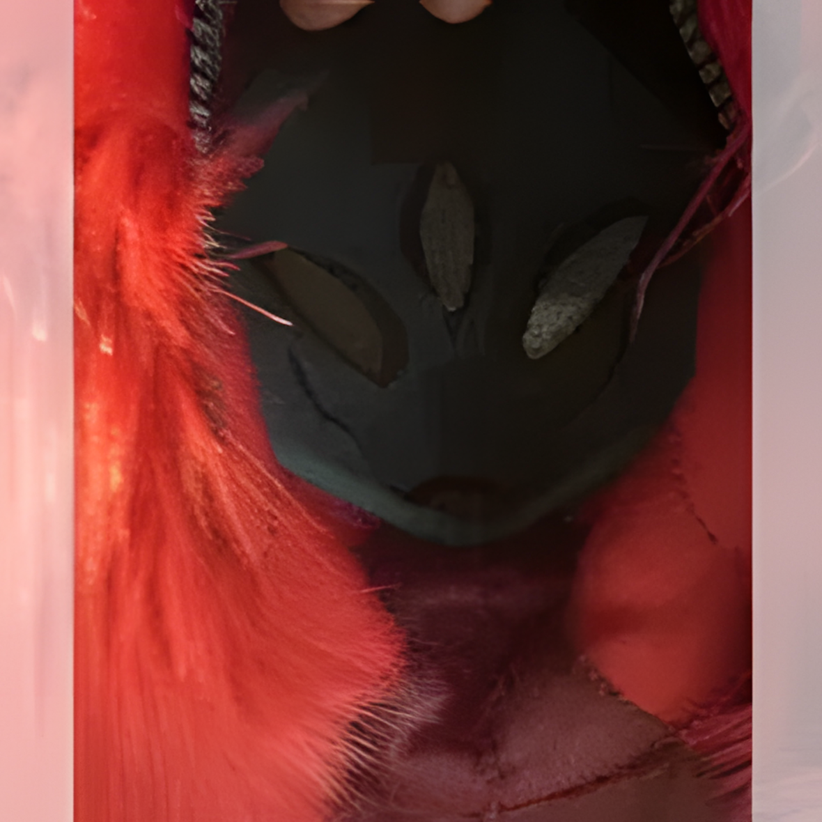 Fursuit mask (5)