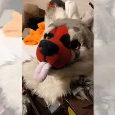 Fursuit partial dog realistic