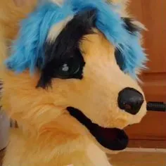 Dog fursuit (2)