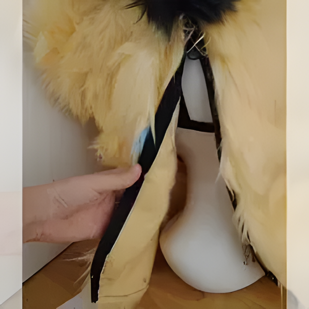 Dog fursuit (2)