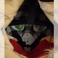 Dog fursuit (2)