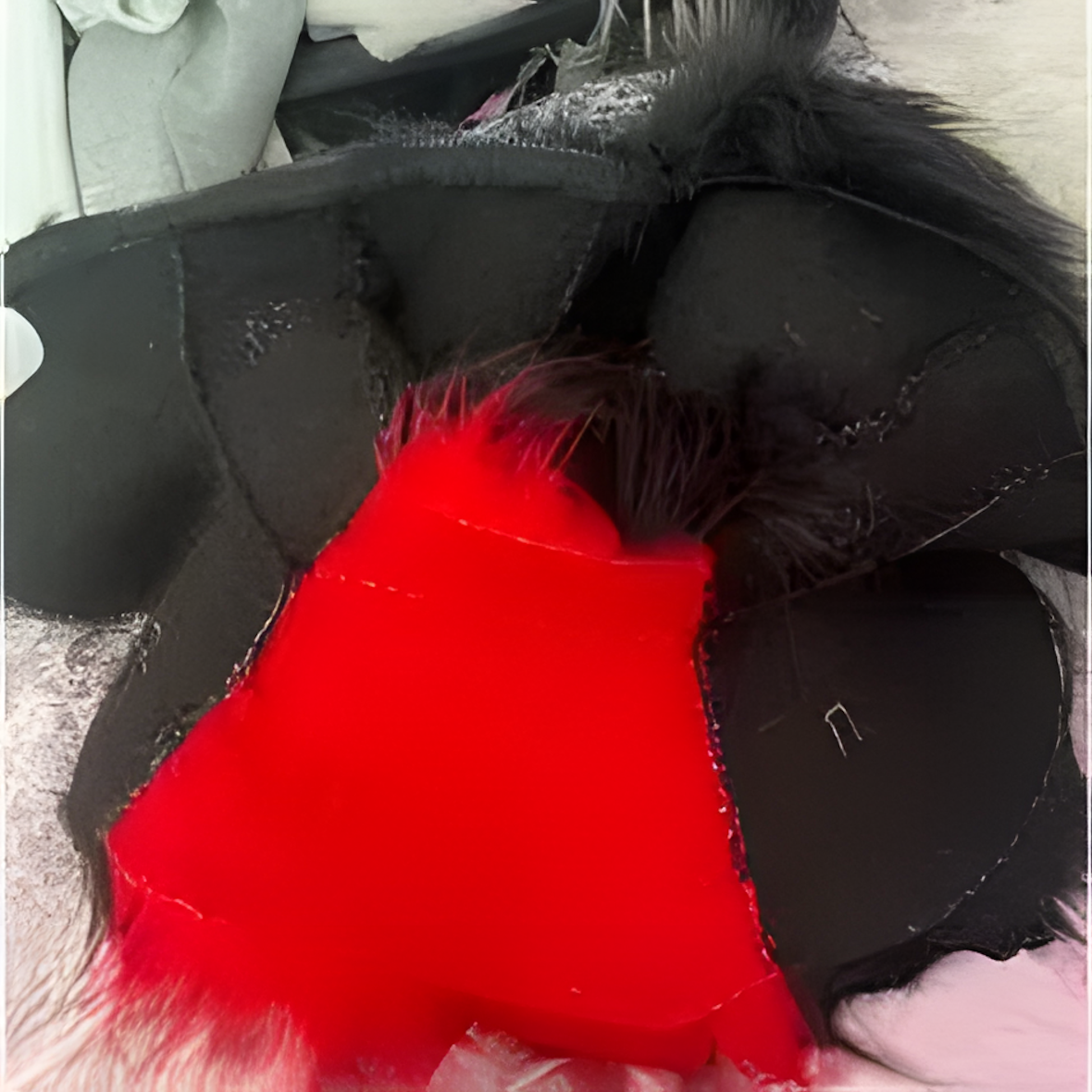 Fursuit raptor mask (29)