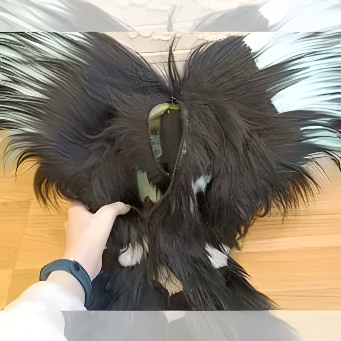 Fursuit raptor mask (5)