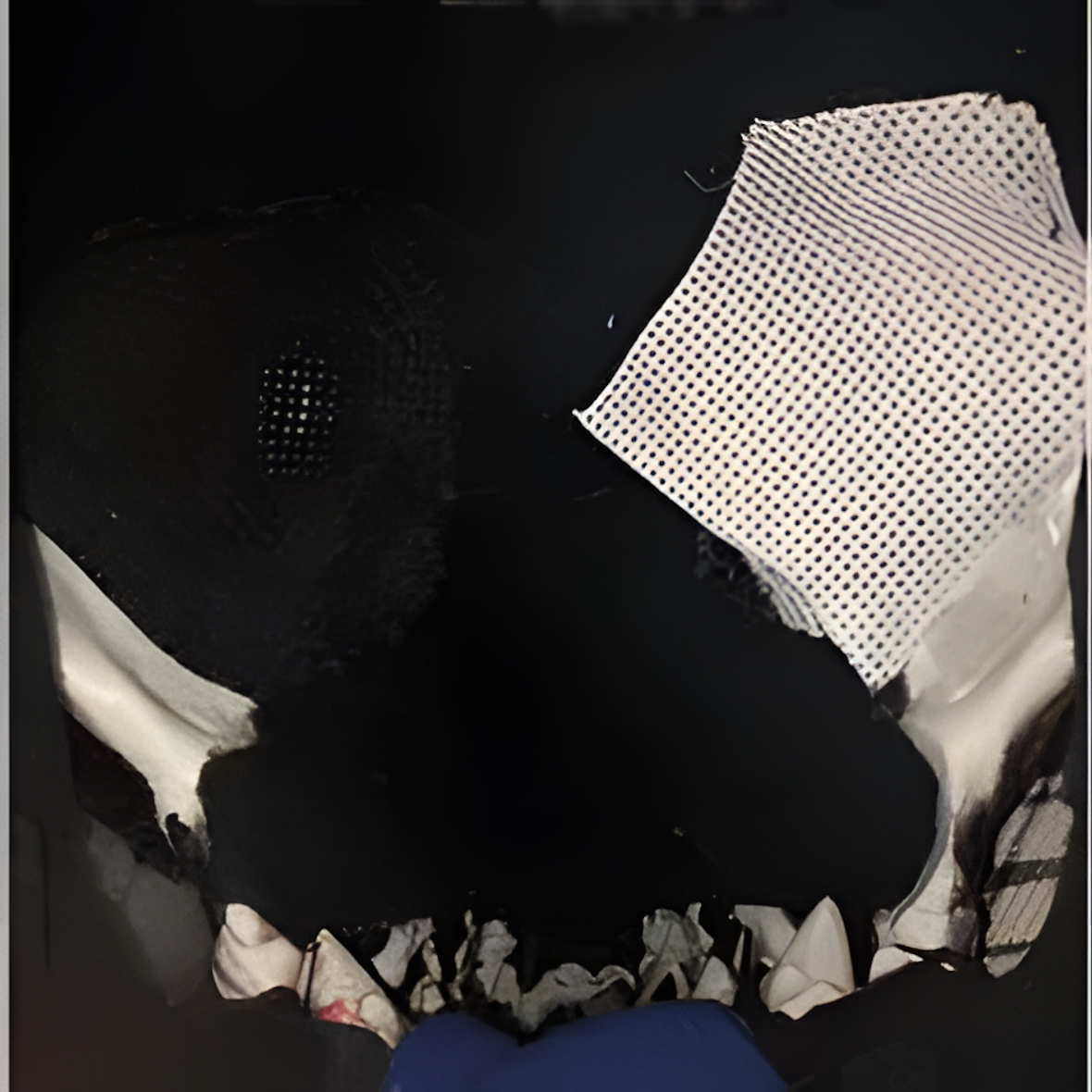 Fursuit Skull Dog