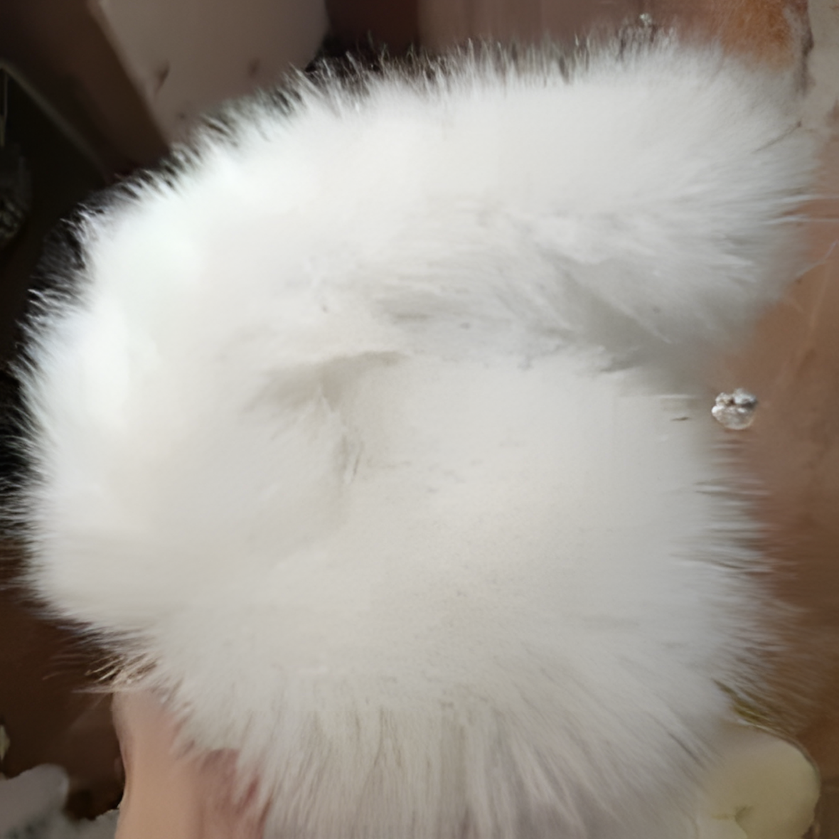Fursuit, Trixie Cat
