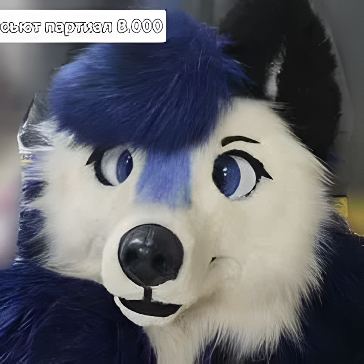 Partial fursuit (5)