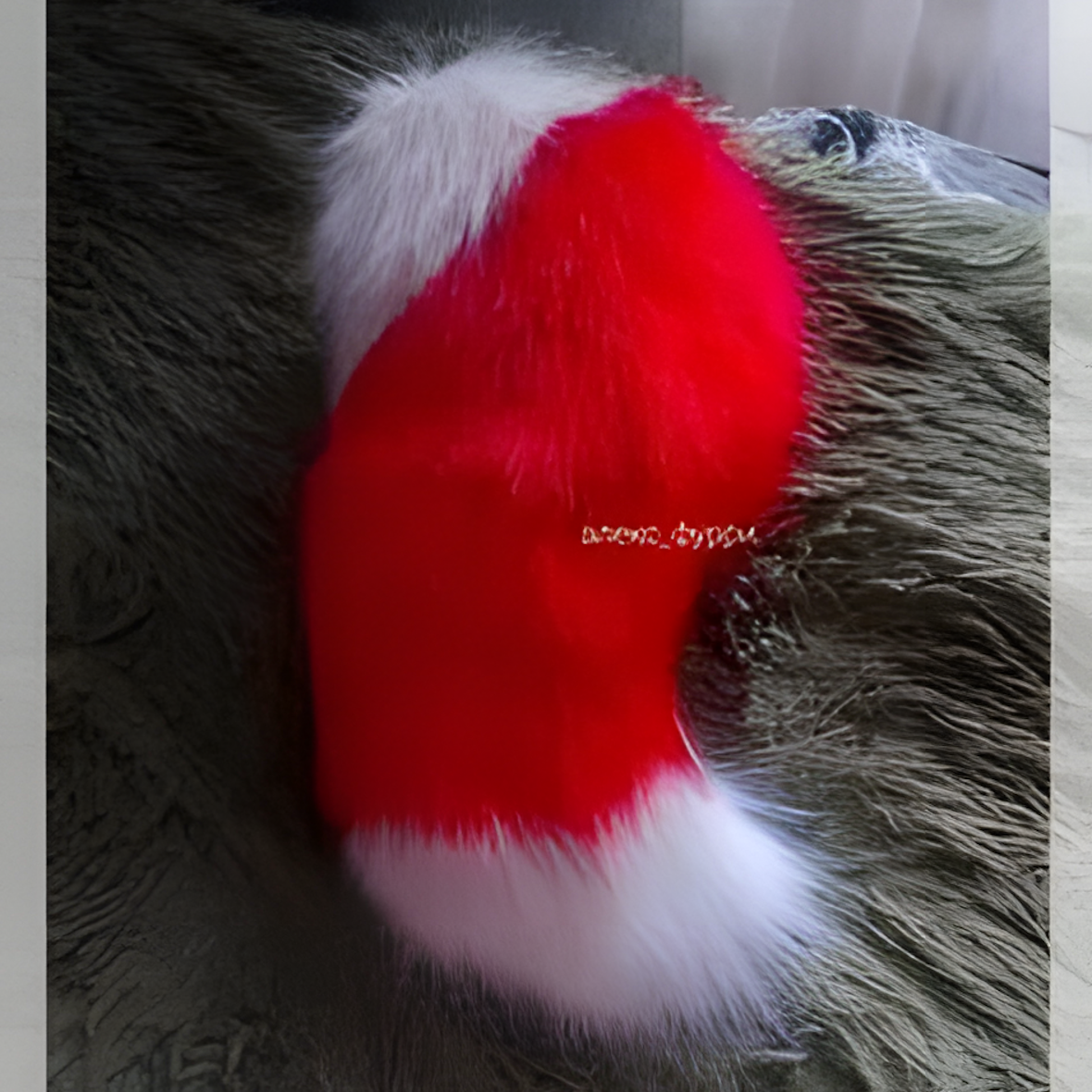 Raptor fursuit