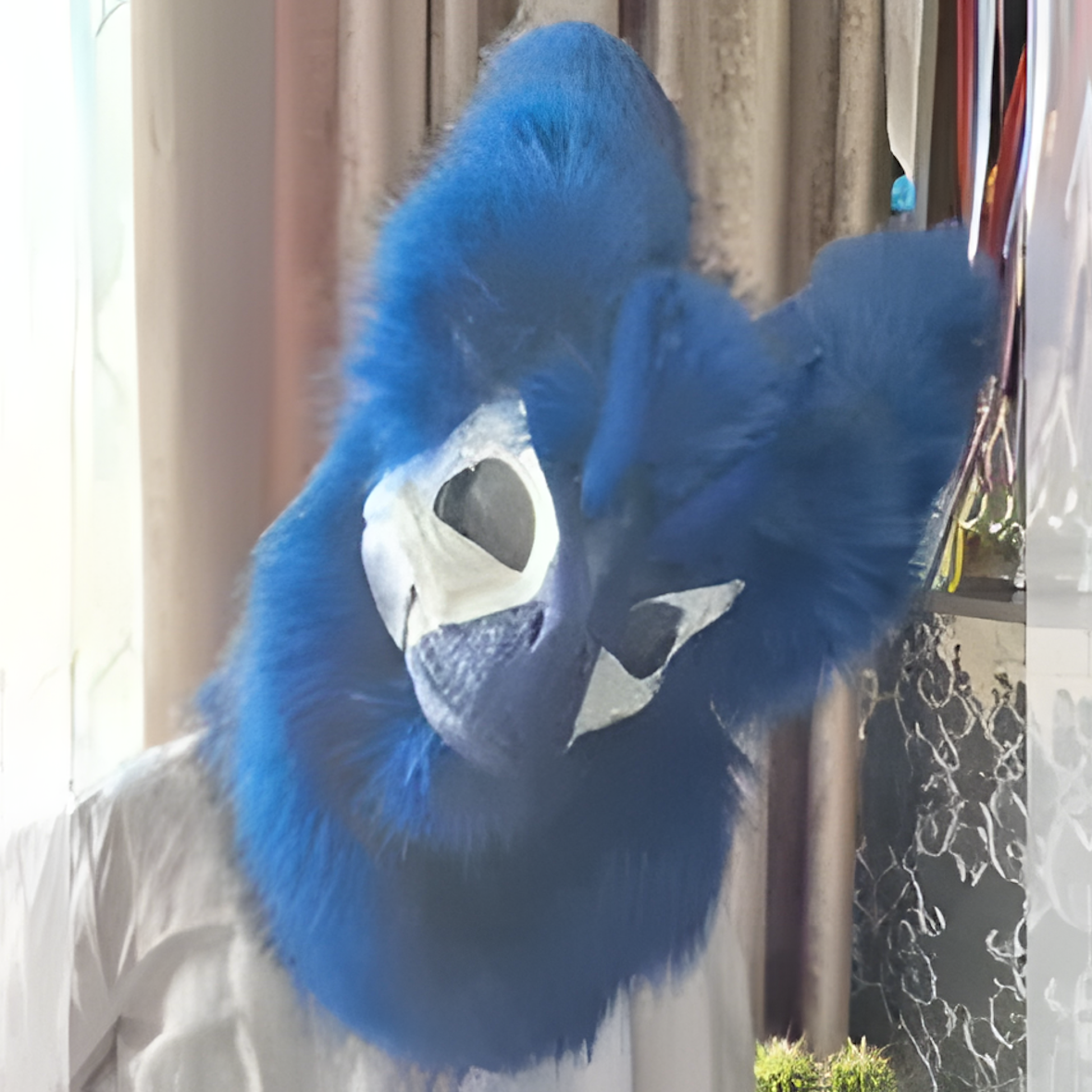 Raptor mask (2)