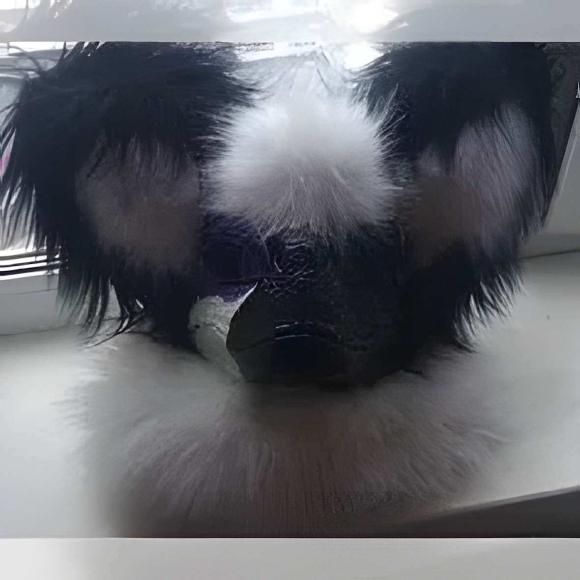 Raptor mask fursuit furry
