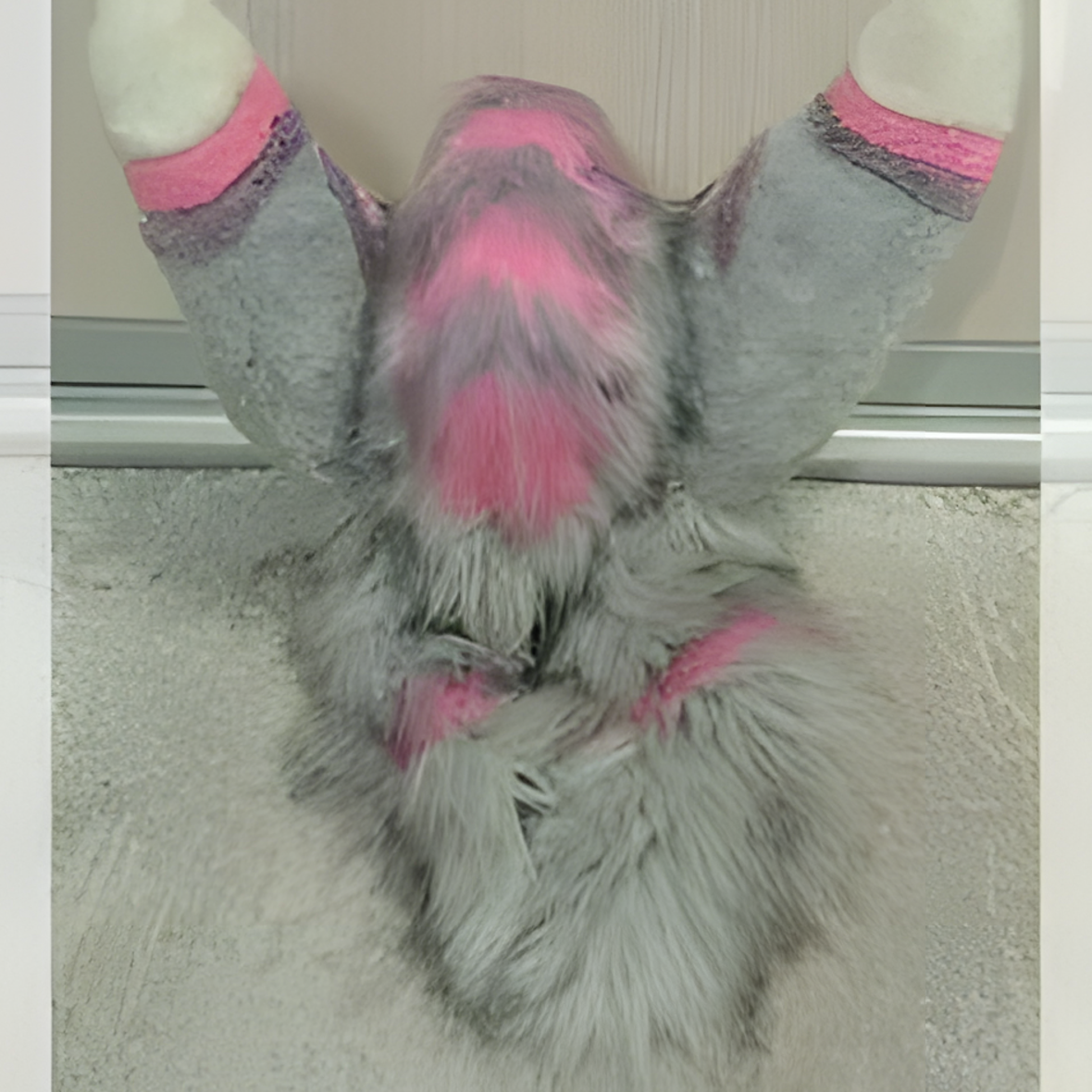 Raptor mask, furries, fursuit, furries