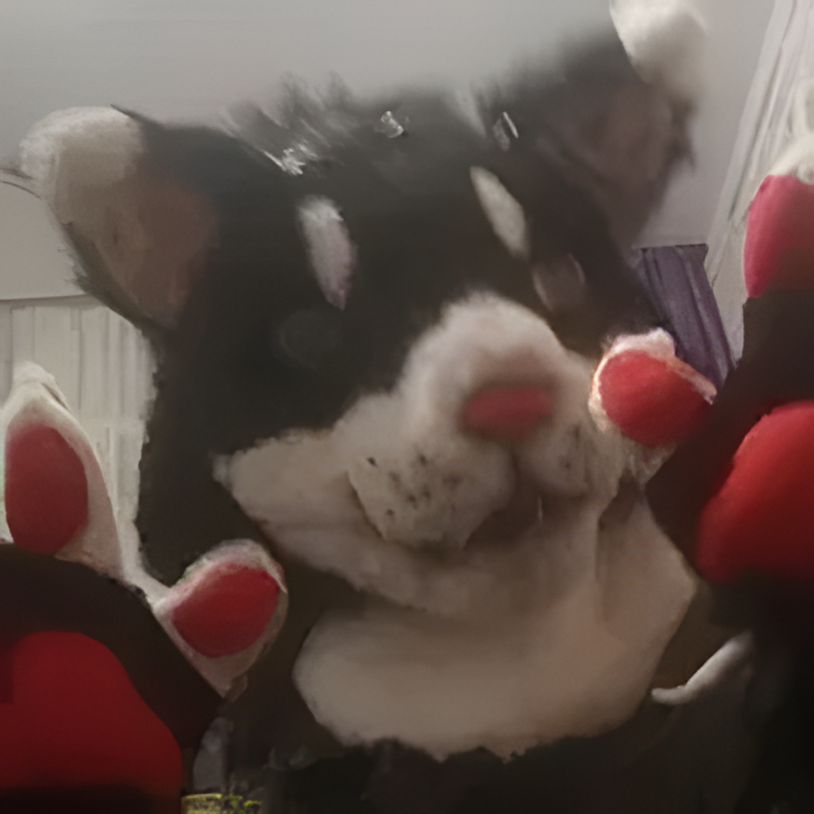 Realistic black and white cat fursuit with inside