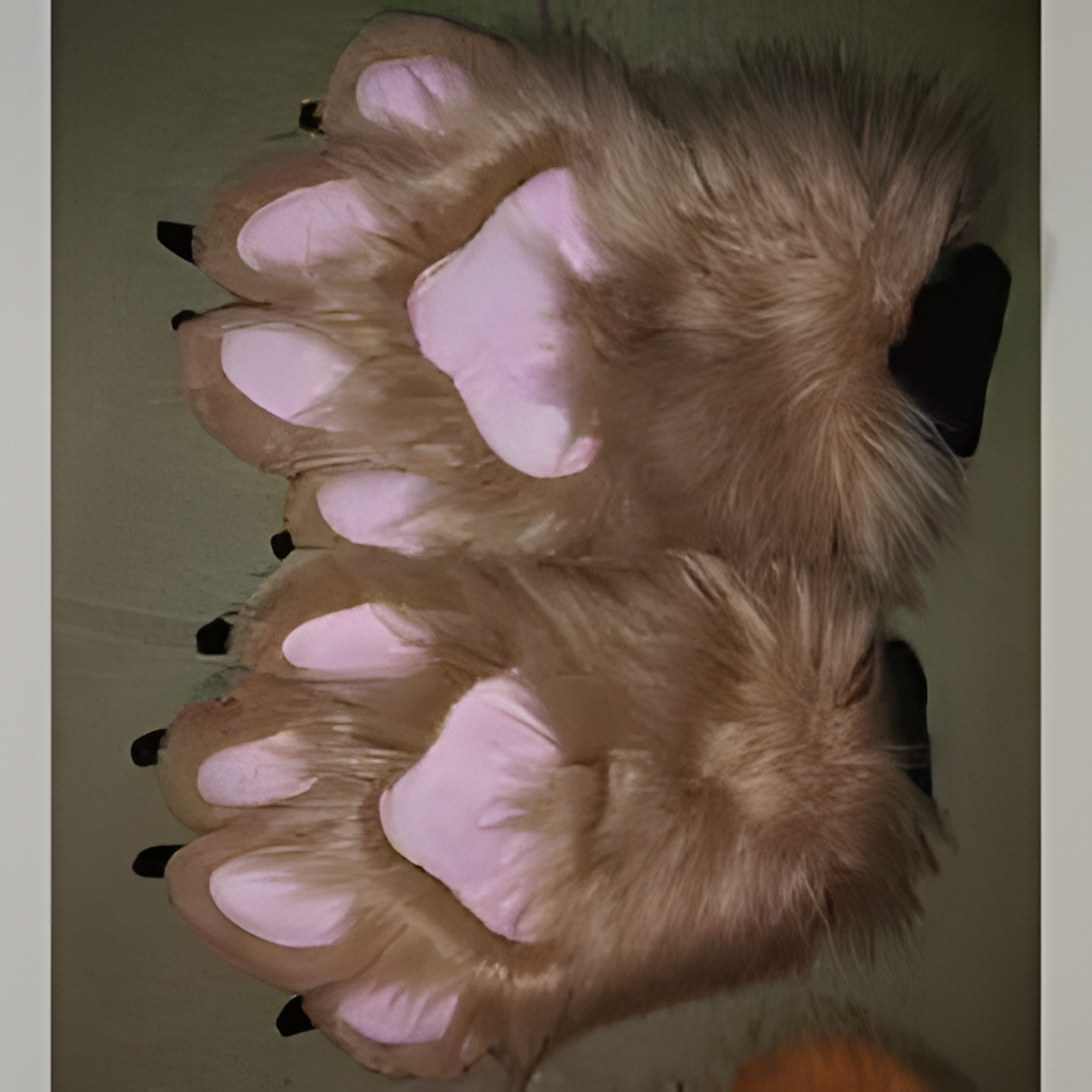 Furry fursuit mask (4)