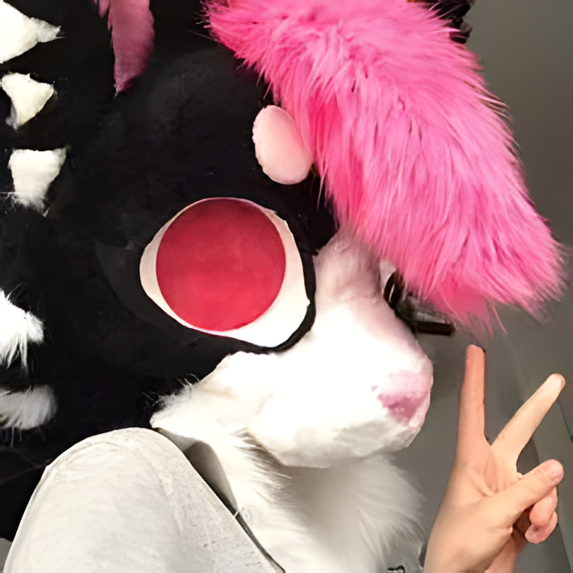 Cat fursuit