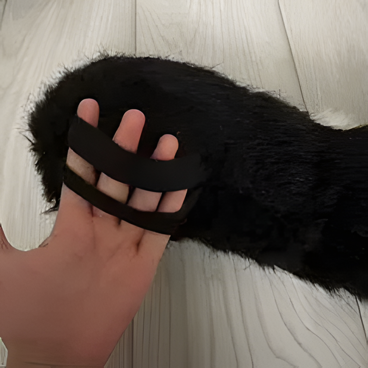 Cat fursuit