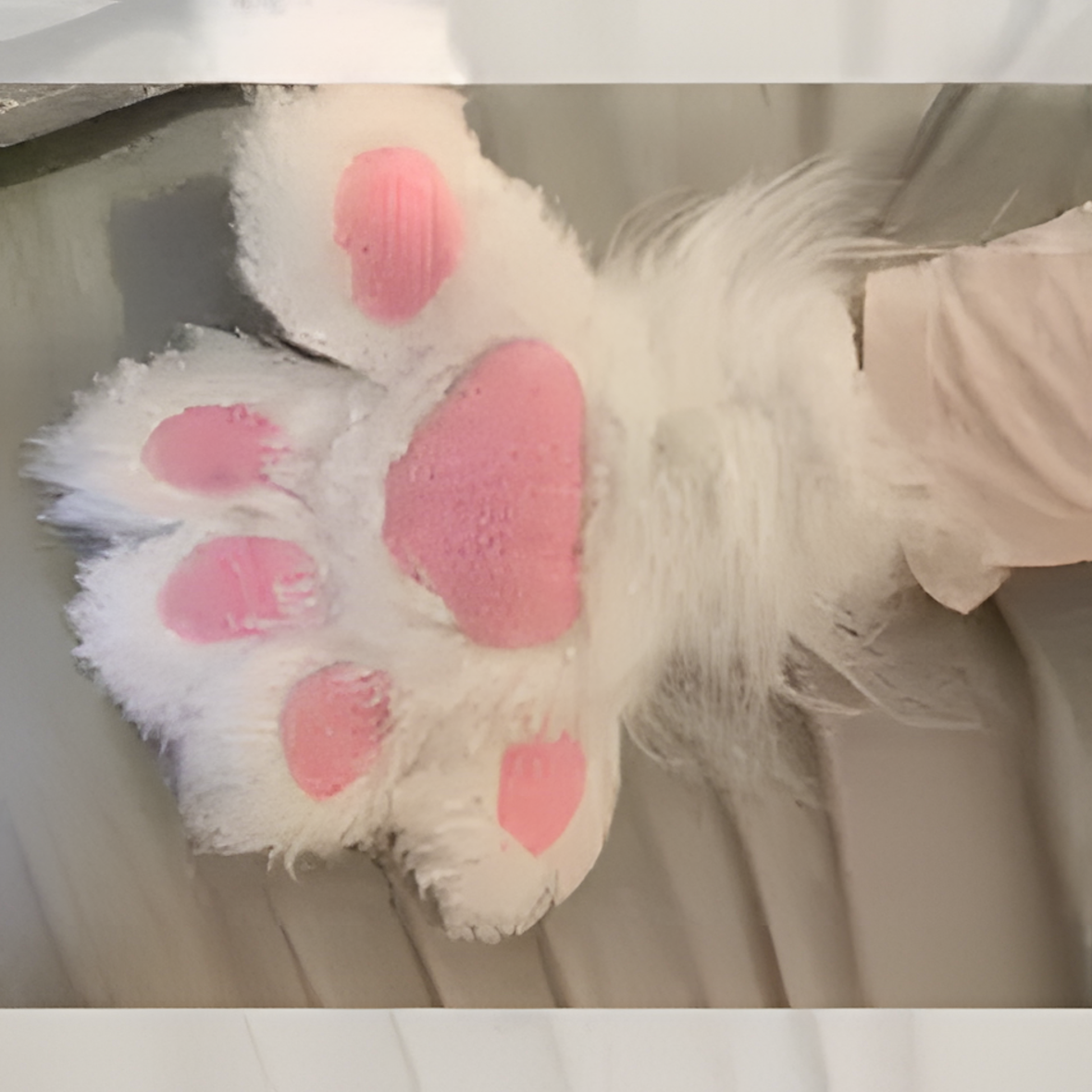 Furry suit, fur suit