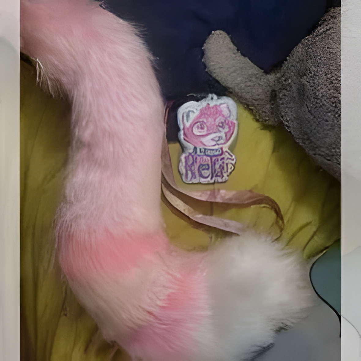 Furry, fur suit (2)