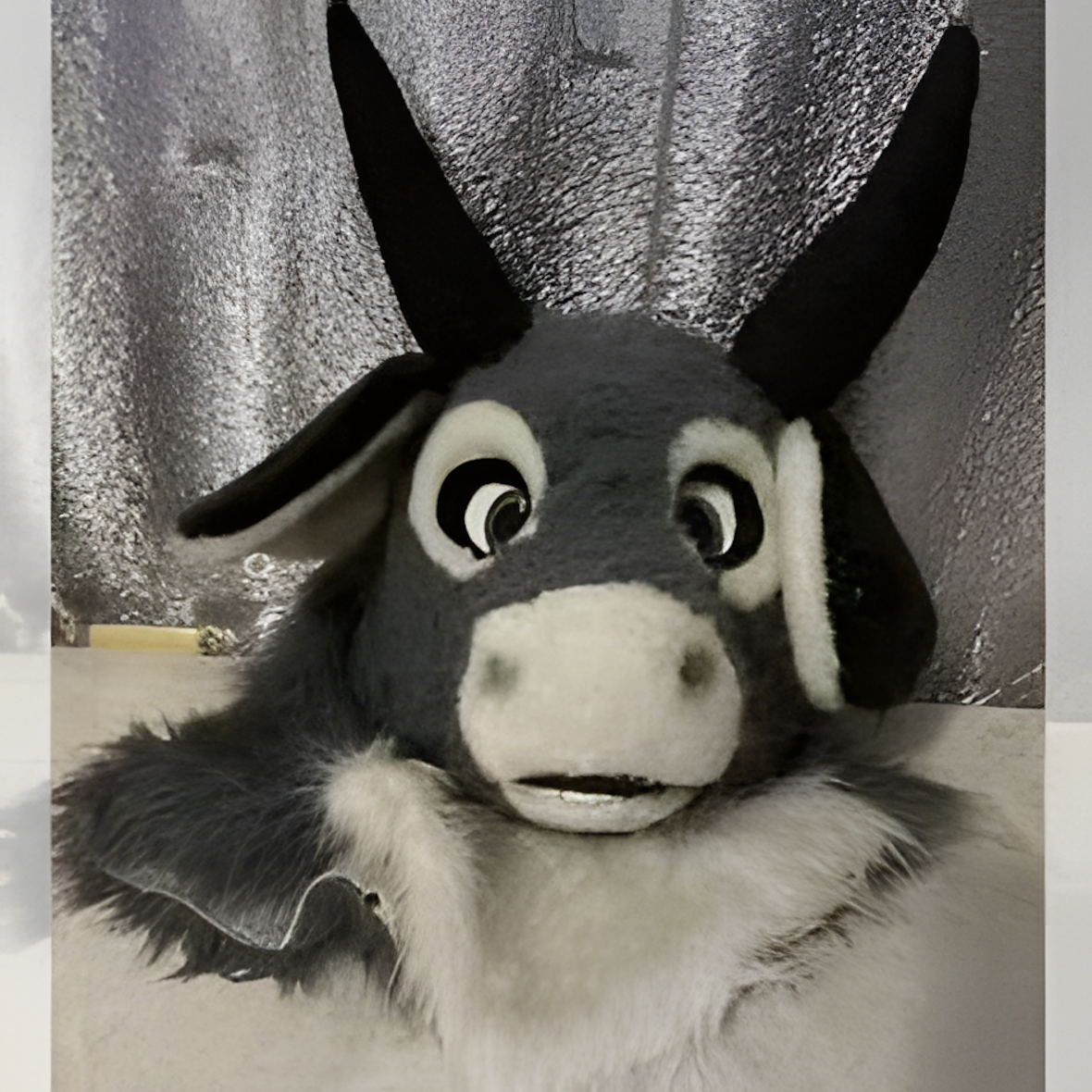 Furst bull