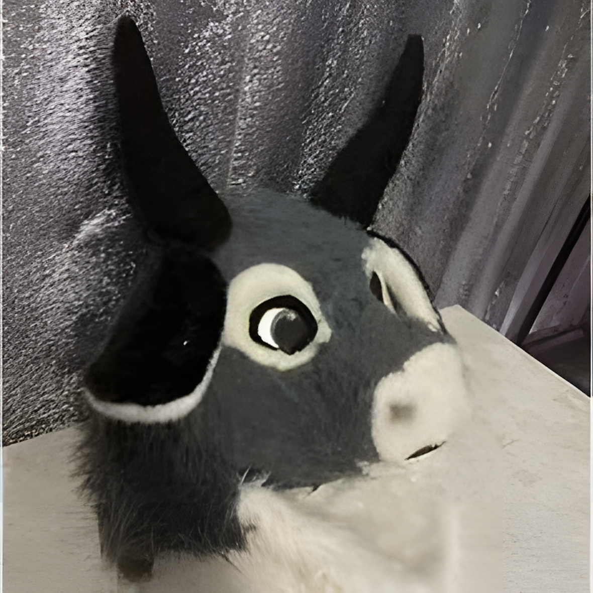 Furst bull