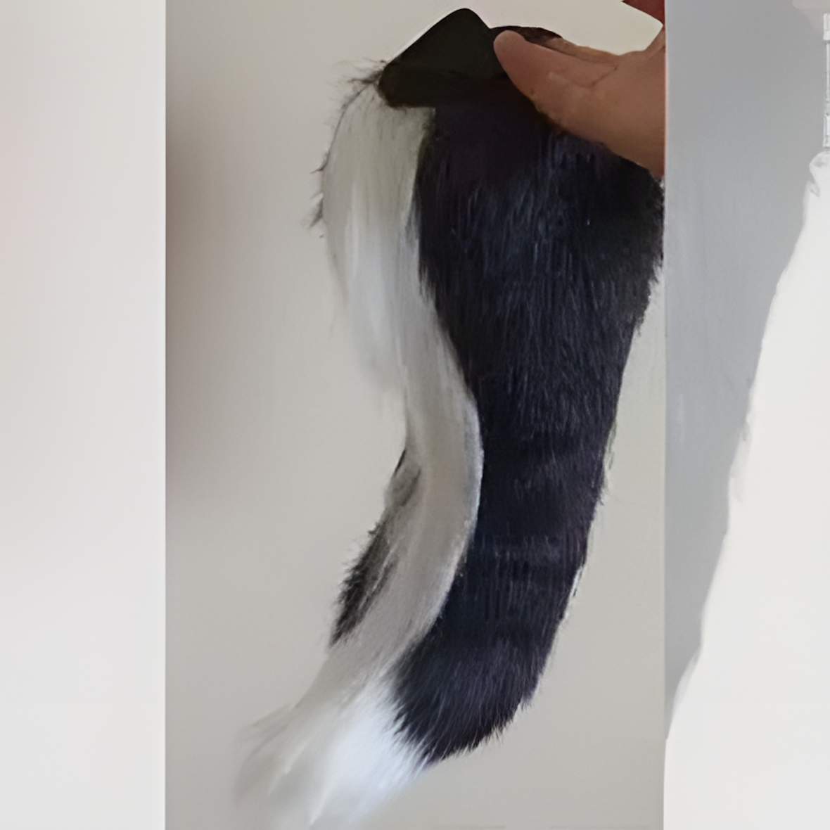 Fursuit