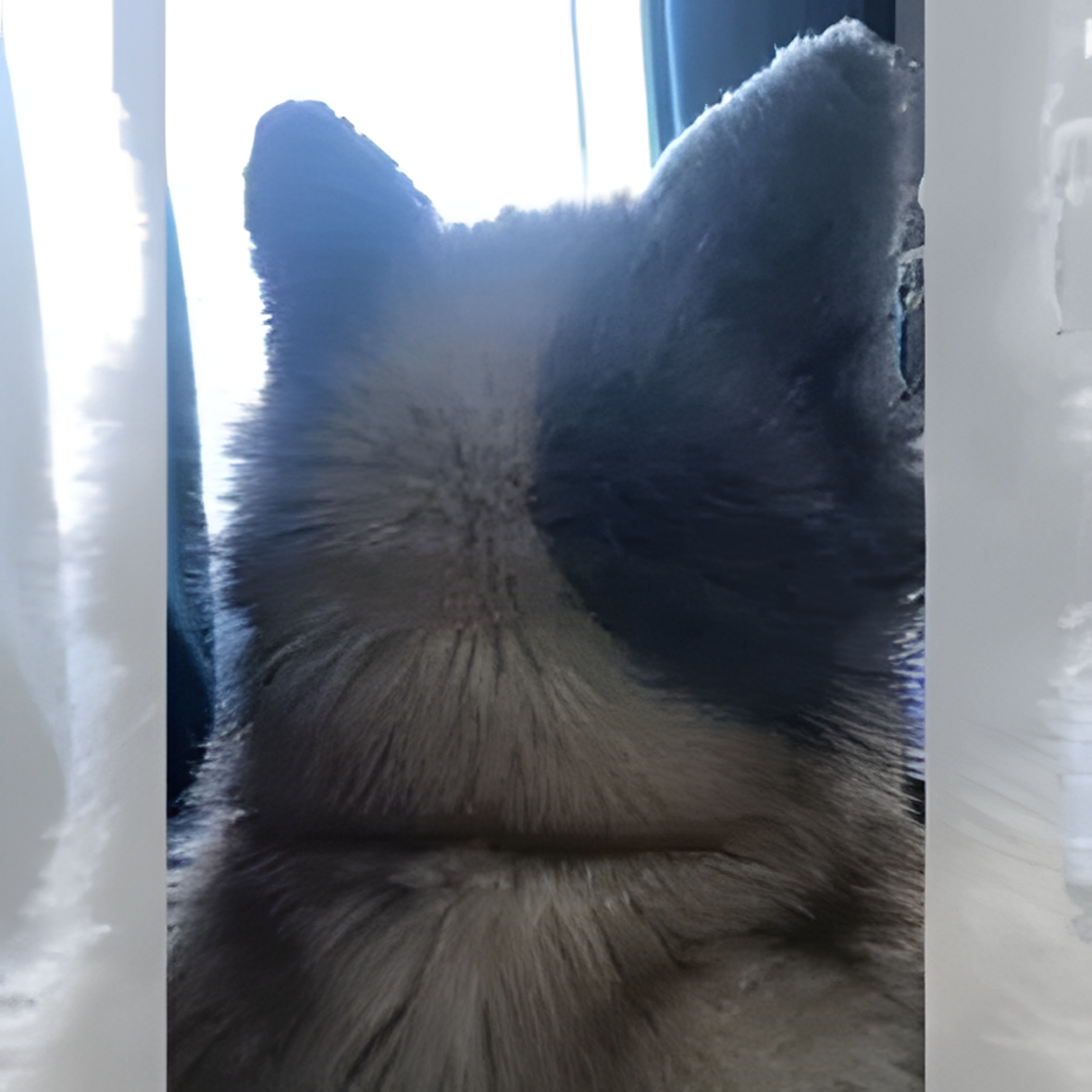 Fursuit (11)