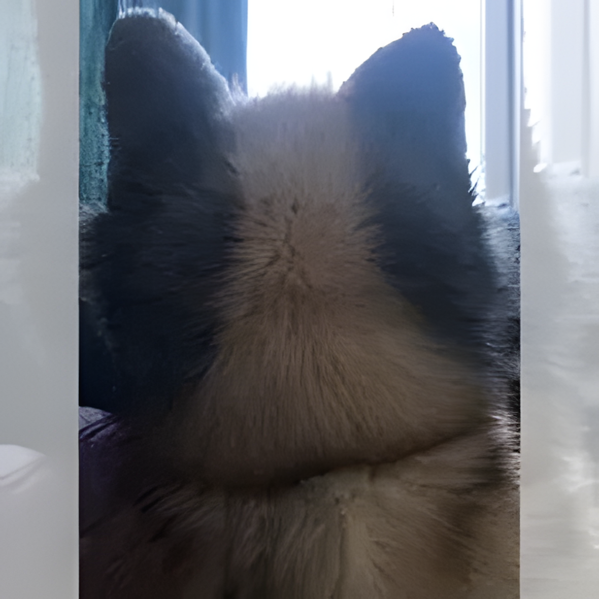 Fursuit (11)