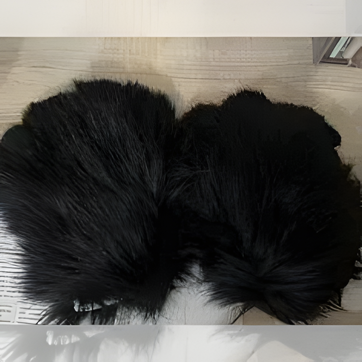 Fursuit (15)