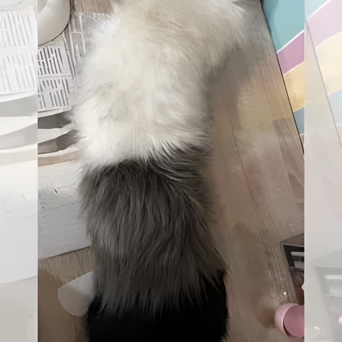 Fursuit (15)